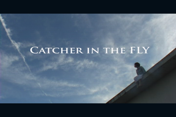 Catcher in the FLY